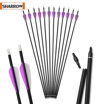 

30 Inch Archery Arrow Spine 500 Carbon Arrows Shooting Arrows with Replaceable Tip Compound Bow recurve Bow Outdoor Hunting