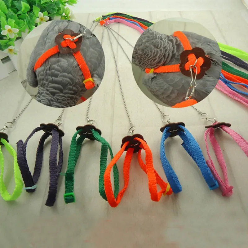 

Pet Parrot Traction Strap Pet Anti-bite Training Rope Outdoor Rope Pet Leash Adjustable Bird Harness For Hamster, Lizard