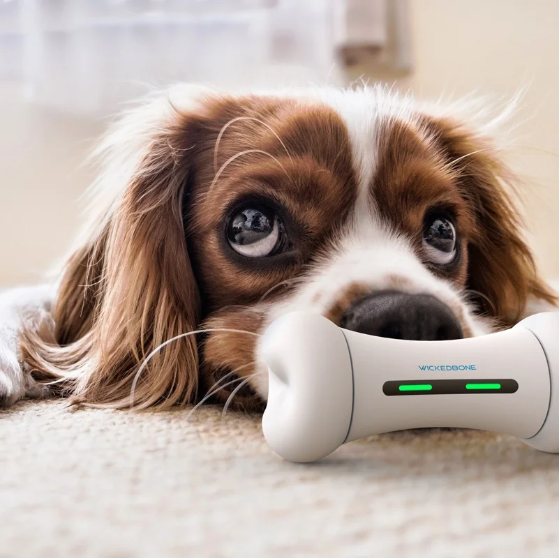 

Dog Interactive Toy Push TPR Bone Small Dog Toys Electric smart pet toy pet bone Playing IQ Treat Toys Pet Puppy Supplies