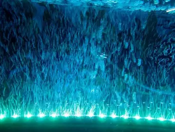 

LED Aquarium Diving Lights 220V/110V Adapter remote control 1.2W 16CM can use together with Air Pump