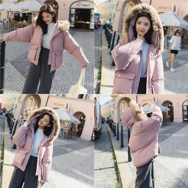 

Photo Shoot Korean-style by Age Candy-Colored Raccoon Dog Genuine Fur Collar Deconstructable down Feather Cotton-padded Clothes