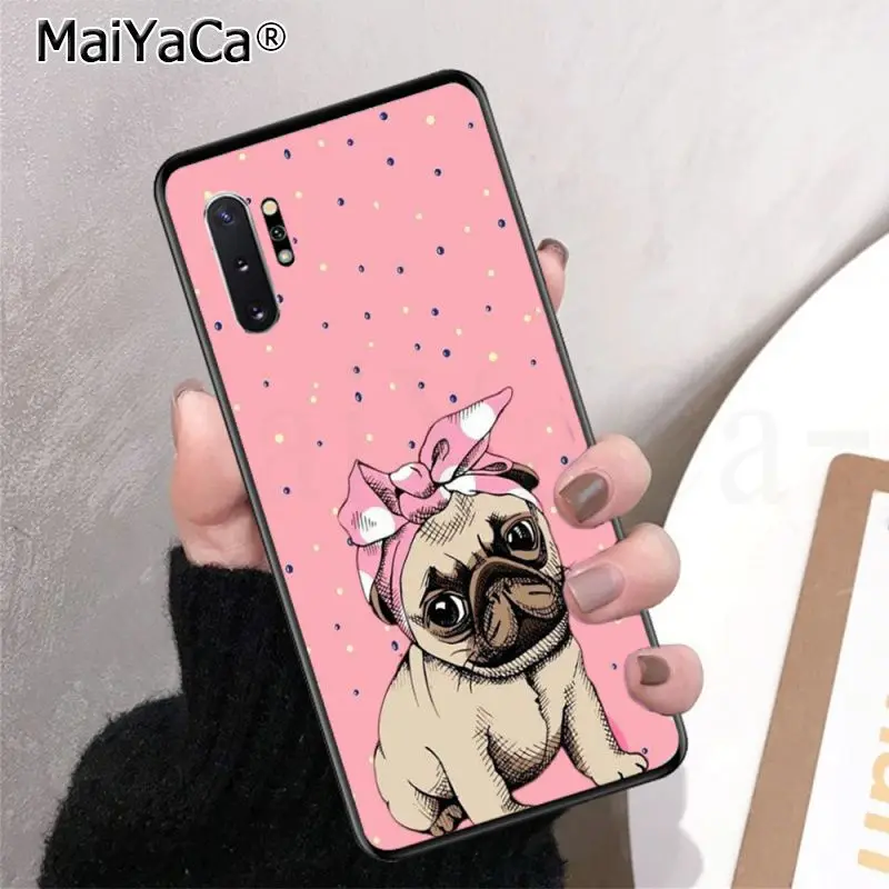 Frenchies Pretty puppy Pug Bulldog
