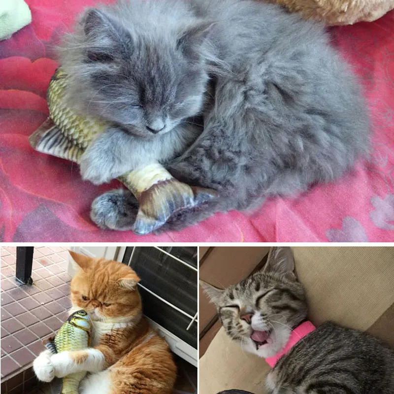 1PCS Cat Toy 3D Fish Shape Soft Plush Catnip Toys Interactive Gifts Simulation Fish Doll Pet Toys