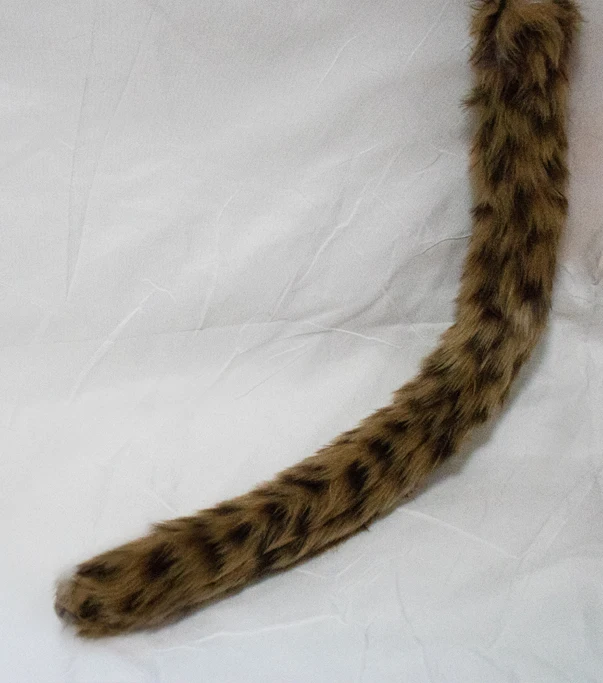 O1CN01vQvnsH1gbmZ8gwdc5_!!281574161