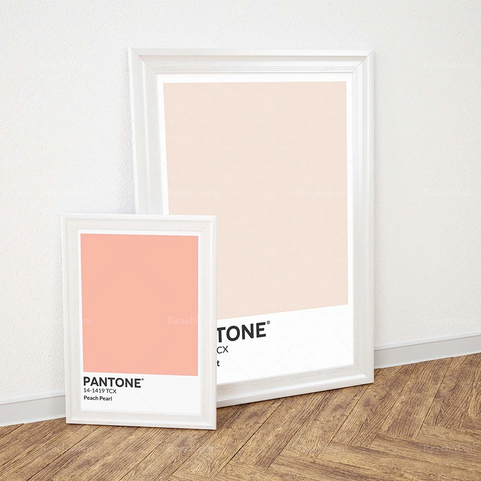 Light Cream Pantone Colour Sales Stores