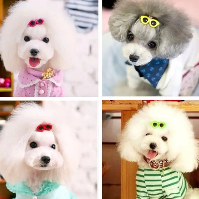 Dog Hair Clips 10 Pieces Plastic Pet Hair Clips Sunglasses Shape Hairpin Small Dog Grooming Hair Accessories