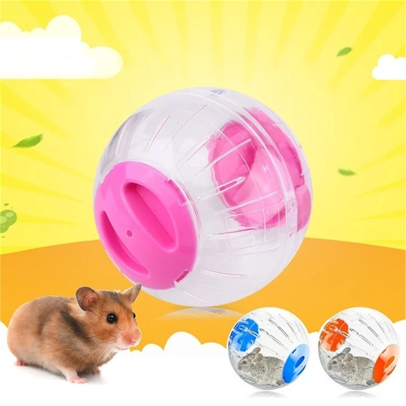 Игра хомяк. 07 2024. Во что поиграть с хомяком. Игра hamster. Игра за хомяка.