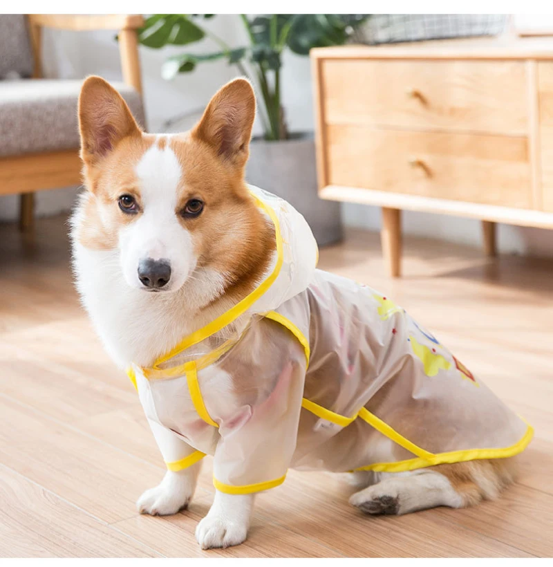 одежда для корги. корги в одежде. комбинезон для вельш корги. дождевик для собаки корги. одежда для собак корги.