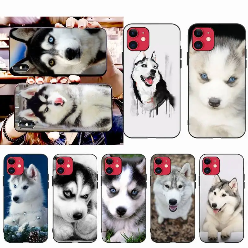 Милый чехол для iPhone 11 pro XS MAX 8 7 6 6S Plus X 5S SE 2020 XR | Мобильные телефоны и аксессуары