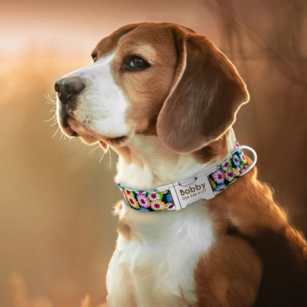 Nylon Pet Custom Nameplate Large Collar Medium Adjustable Cat Tag Dog ID Engraved Dogs Collars For Puppy Dog Collar Personalized