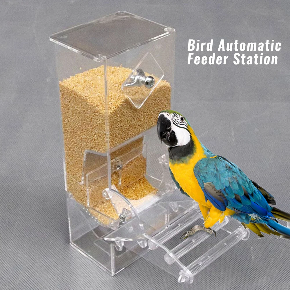 Pet Birds Cage Accessories Pet Bird Automatic Feeder Transparent Parrot Feeding Devices Food