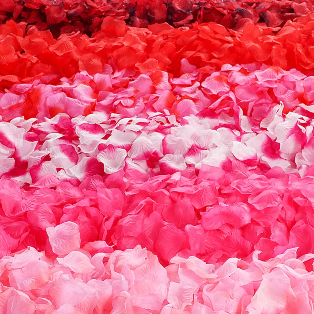 307542_no-logo_307542-1-05-g