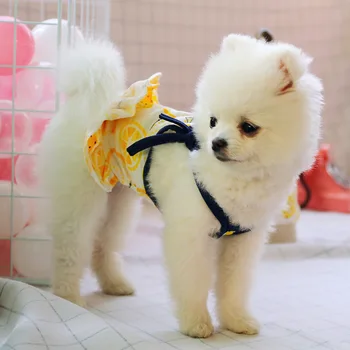 

Dog Dress Cool Lemon Couple Dresses Spring Summer Dog Clothes For Small Dog Party Dog Skirt Puppy Pet Costume Pets Outfits