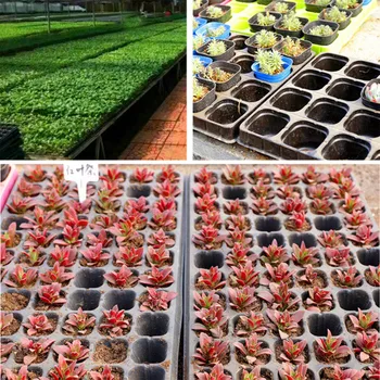 

4 Pcs 128 Holes Seedling Tray Box Flower Seedling Pot Gardening Balcony Seedling Tool Cultivation Vegetable Seed Plug Tray