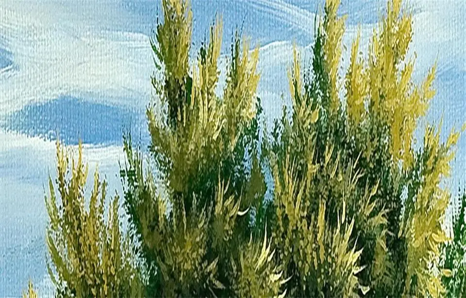 360截图20190810220628631