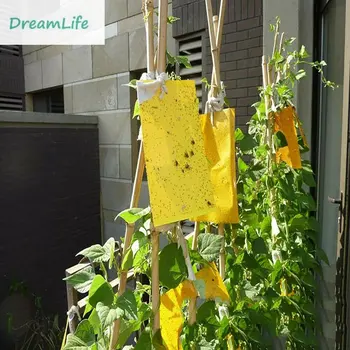 

20x15 Buzz Fruit Fly Bug Mosquito Killer Insects Pest Catcher Fly Trap Sticker Board For Kitchen Farm Plant Garden
