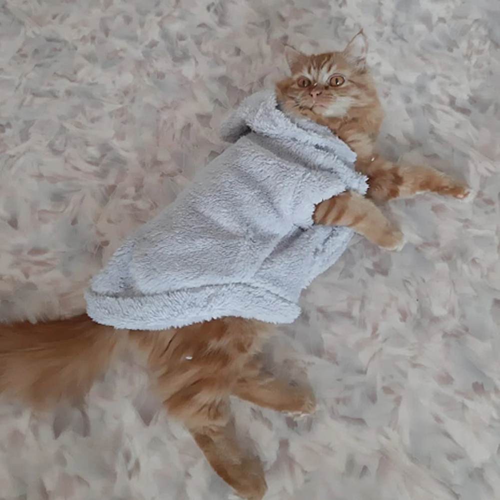 Зимние пальто для щенков, котят, новая Теплая Одежда для питомцев, плотная одежда с капюшоном для маленьких и средних кошек, одежда плюс бархатное пальто, куртки