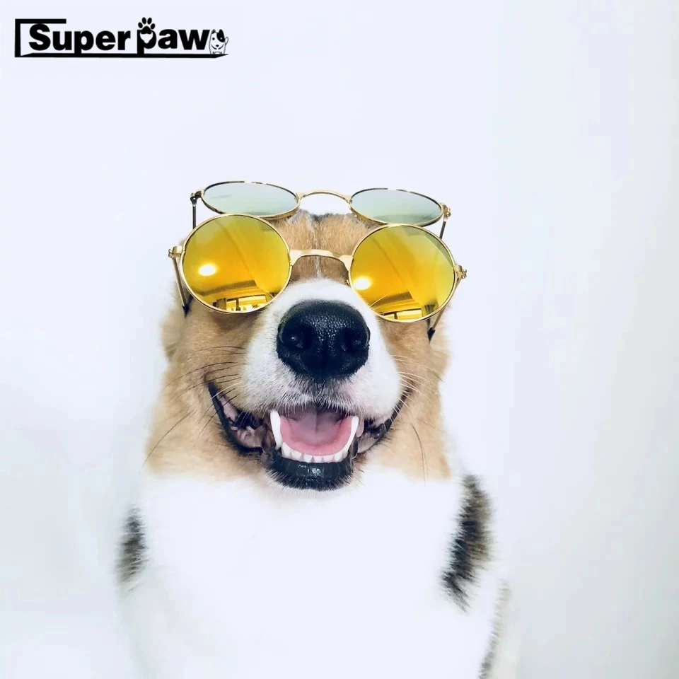 Fashion Dog font b Pet b font Glasses For font b Pet b font Products Eye