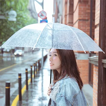 

Long Handle Transparent Umbrella Disposable Transparent Umbrella to Map
