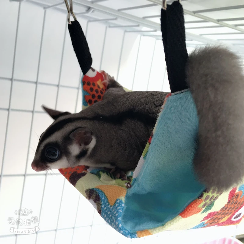 11354449156_578043734