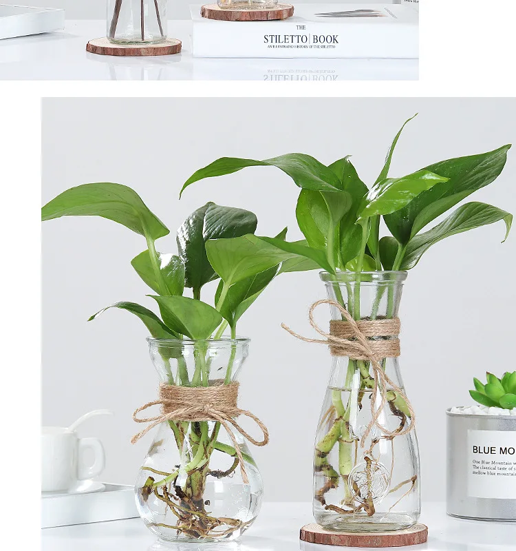 Creative Nordic Glass Vases Living Room Table Decoration Transparent Water Hydroponics Flower Rope Dry Flower Vase Diy Bottle