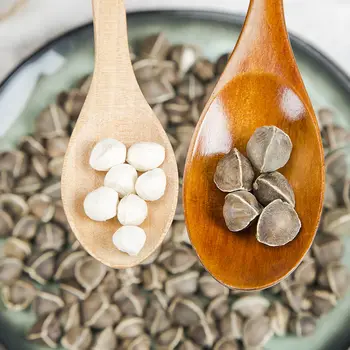 

2020 China La Mu Zi Moringa Seeds Other Tea for Clear Heat and Lipid-lowering