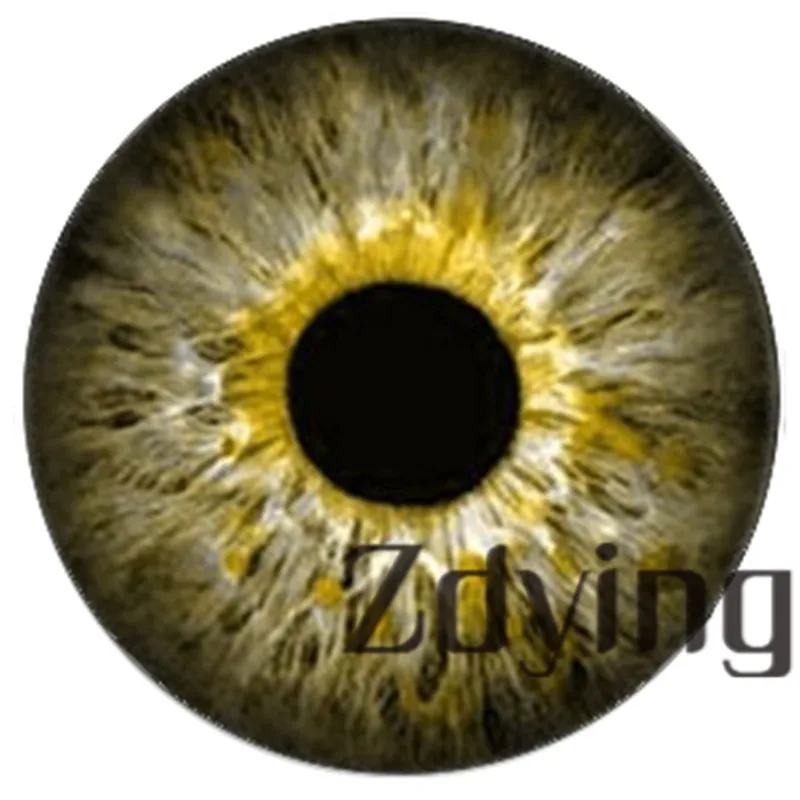 U039 Zdying, 5 шт./лот, глаза животных, дракон, змея, Сова, кошка, тигровые глаза, стеклянный кабошон, ручная работа, ювелирное изделие для DIY, серьги, браслет - Цвет: U039