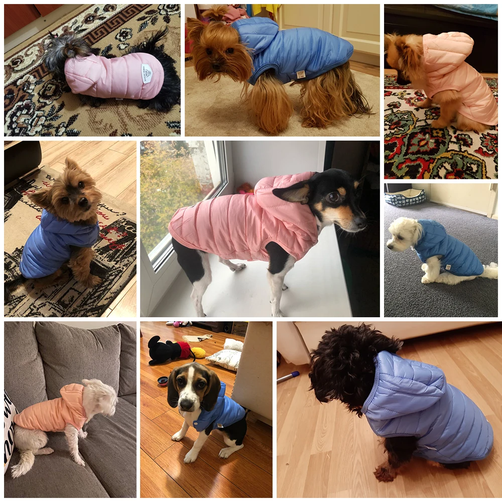 Winter Cotton Coat (2)