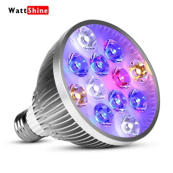 

Pet lighting 36W Fish tank lights Coral lamp Freshwater Saltwater Aquarium lighting Marine Reef aquariums Aquatic plants