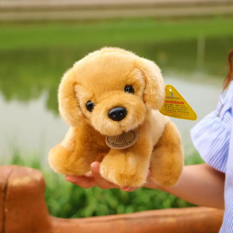 9123693823_915828808