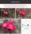 APEXEL For dropshipping camera phone lens 100mm macro Mobile lens macro Camcorder lenses for iPhone Samsung all smartphone