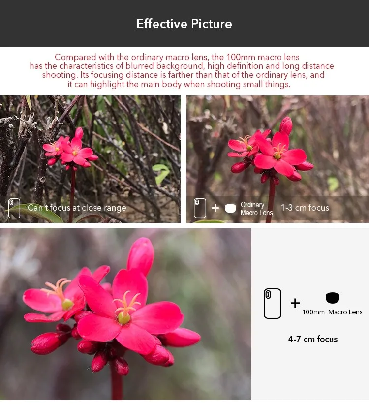 Apexel 100mm Super Macro Phone Camera Lens Hd Optic 10x Macro Lens Mobile Camcorder For Iphone X Xs Samsung All Smartphone Camcorder Lenses Aliexpress