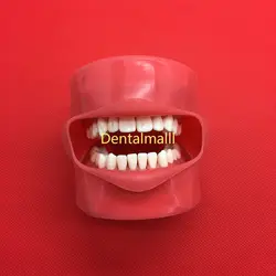 Стоматологическая фантомная головка модель силиконовой маски с 28 штук винт фиксированные зубы оральная имитация практики системы