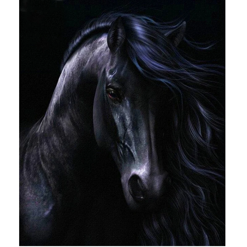 HTB1Kh0cNpXXXXXmXFXXq6xXFXXXk