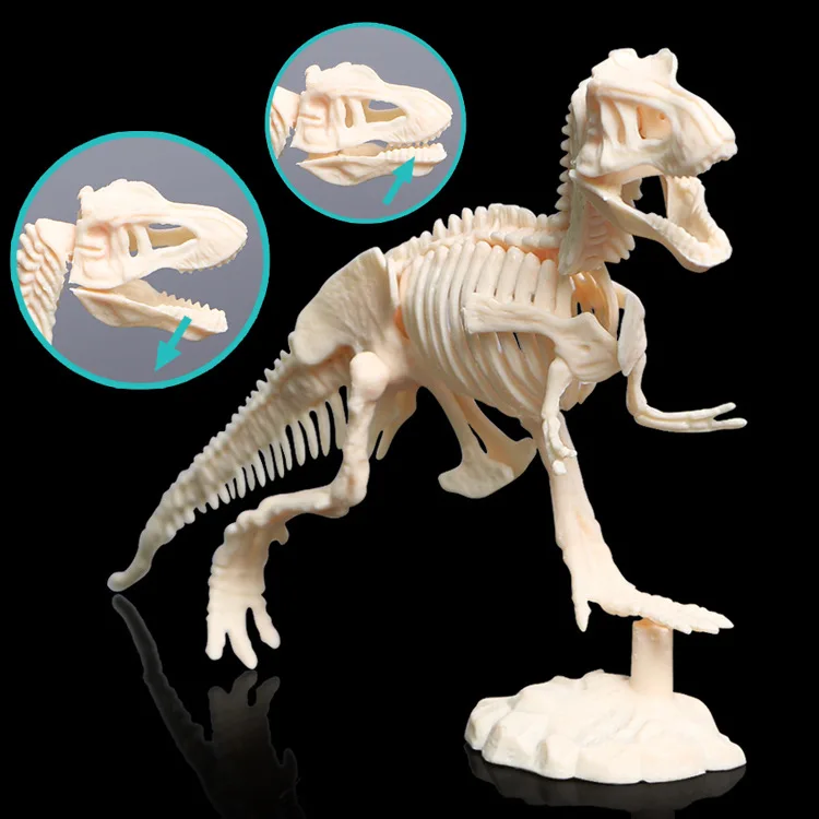 

Archeology Dig Dinosaur Toy DIY Dinosaur Fossil Assembled Set Scientific And Educational Toy T-Rex Long-Necked Brontosauruses St