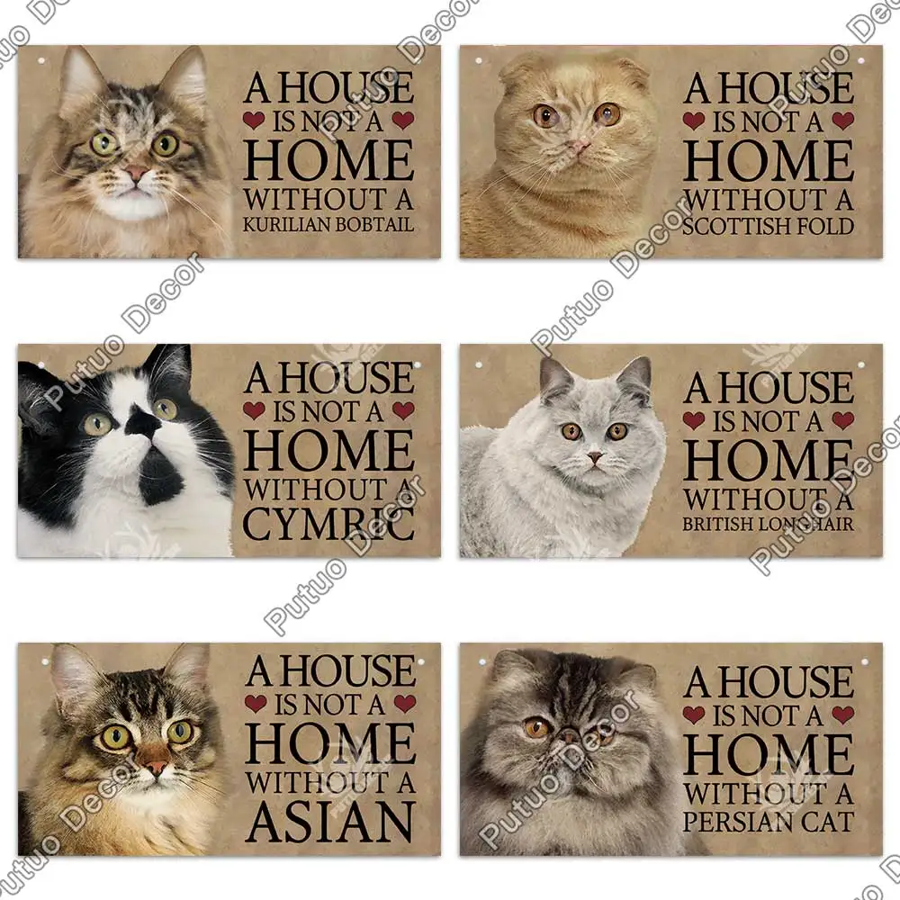 H3e5be610a3dd49b0b306ee76df2592dds.jpg?width=1000&height=1000&hash=2000