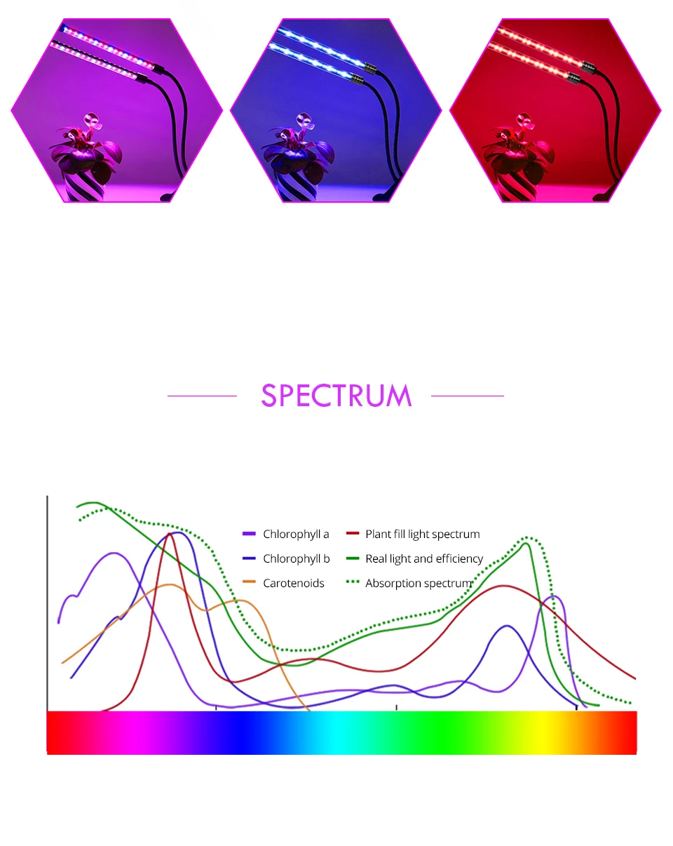 5V-USB-LED-Grow-Light-Full-Spectrum-Dimmable-Clip-on-Fitolampy-Timer-Phyto-Lamp-For-Plants-Flowers-Indoor-Grow-Tent-Box-Fitolamp_06