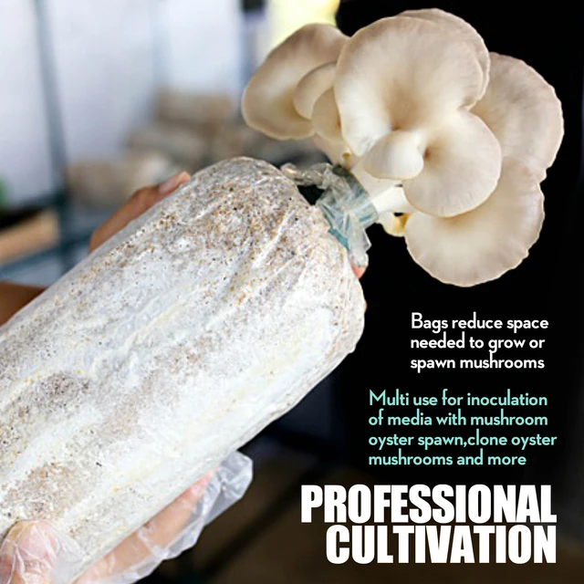 Top more than 128 spawn bag tek super hot esthdonghoadian