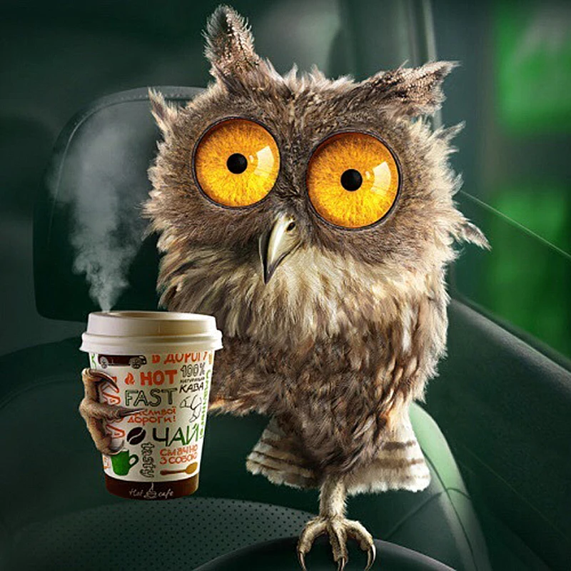 Full Square Diamond 5D DIY Painting &quotDrink coffee owl&quot Embroidery Cross Stitch Rhinestone Mosaic Decor Gift VIP | Дом и сад