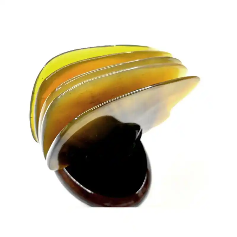 1Pc Natural Ox Horn Massage Tool Creative Beauty Massage Wheel Random Color