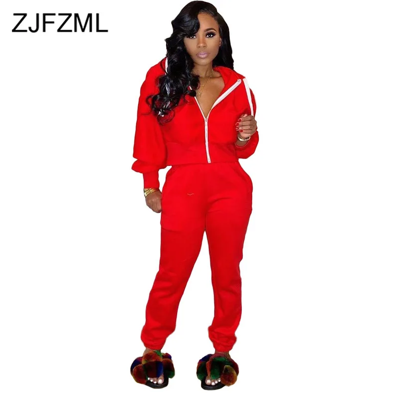

Solid Sportswear Two Piece Sweatsuits for Women Hooded Full Sleeve Zipper Front Crop Top + Long Straight Pants Winter Track Suit