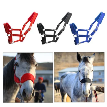 Padded Horse Halter Bridle/Rein - Durable & Comfortable 1