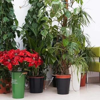 

1/2/4PCS Coir Moss Totem Pole Coir Moss Stick for Creepers Plant Support Extension Climbing Indoor Garden Plants 30/40/45/60cm