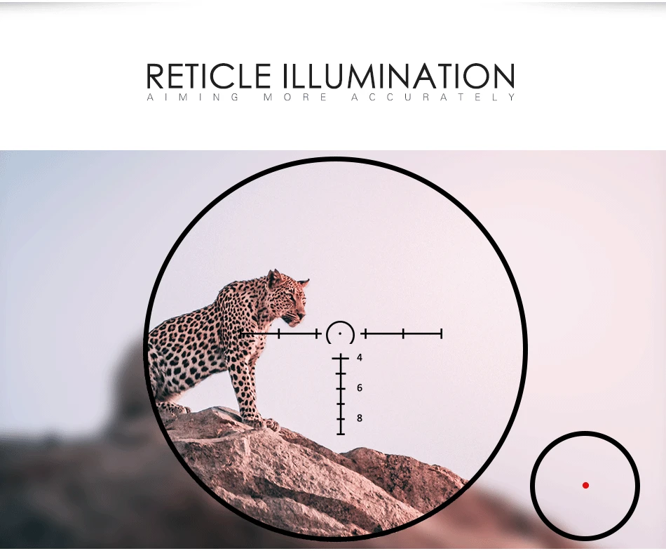 LEUPOLD-4X24_02.gif