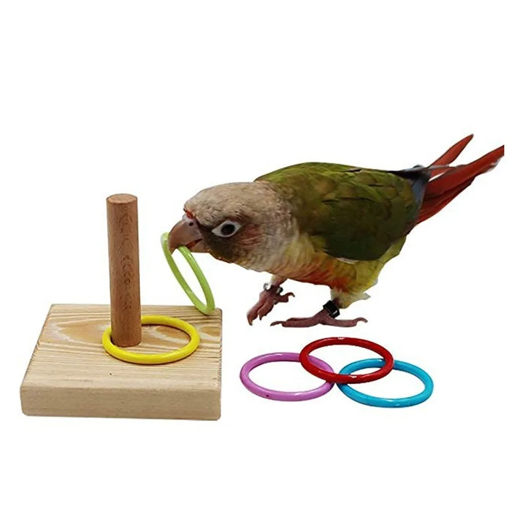 

Parrots Training Rings Toy Parrot Stacking Ring Toys Set Intelligence Training Toys Stacking Color Rings Cockatiel Birds Toys