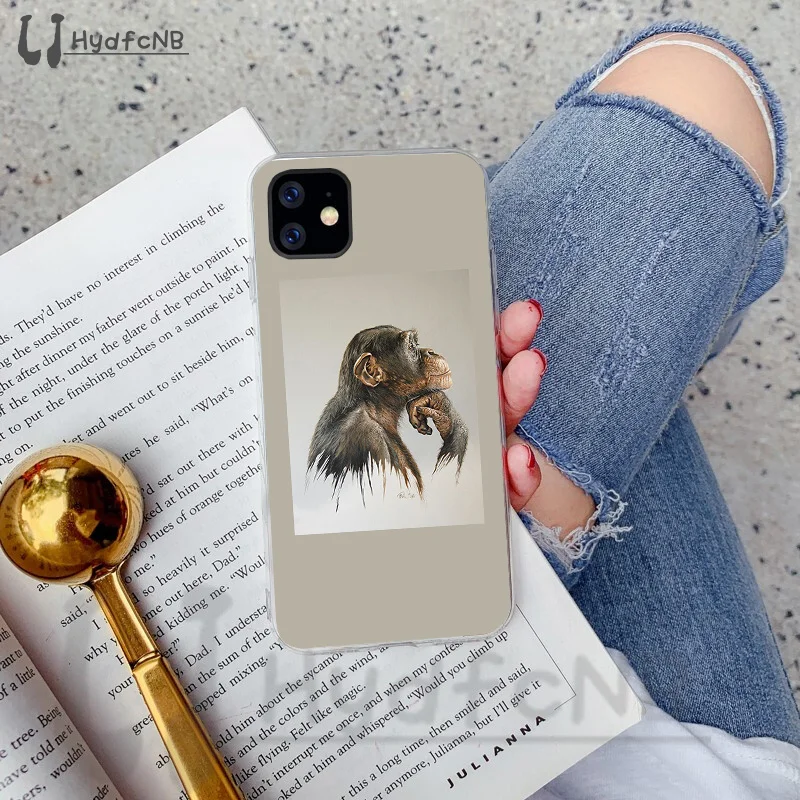 Monkey Gorilla Ape Baby Drawing