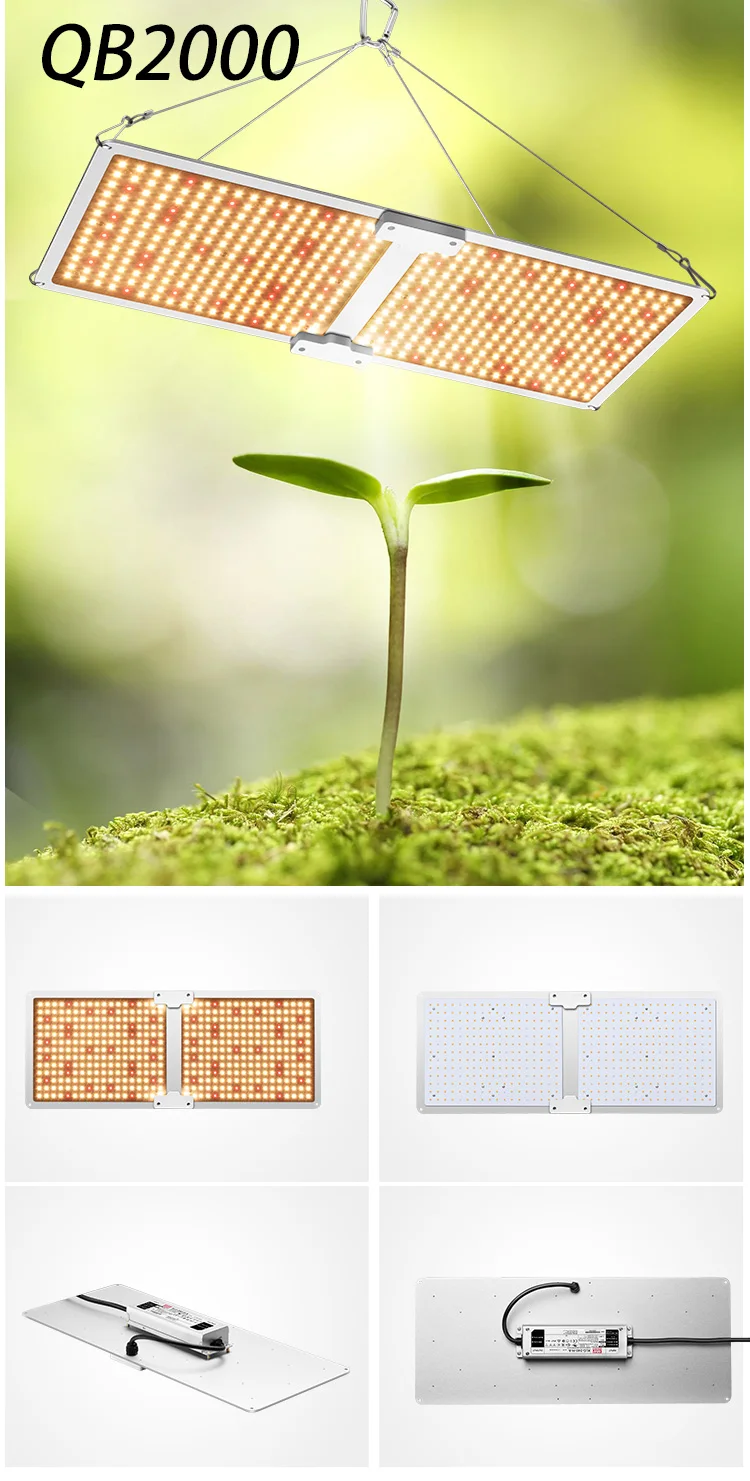 量子板QB2000详情也英文版_03