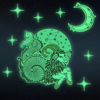

Funlife Fluorescence Capricorn Twelve constellations Wall Sticker,Cartoon Glow in the Dark Sticker for Kid's Room Home Decor