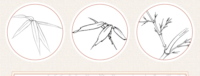 Sorgfältige Malerei, Strichzeichnung, Kopie, Malbuch, Grundtraining, intensive Verbesserung, Tutorial, Skizzenbuch, chinesische Malerei – Detail 3