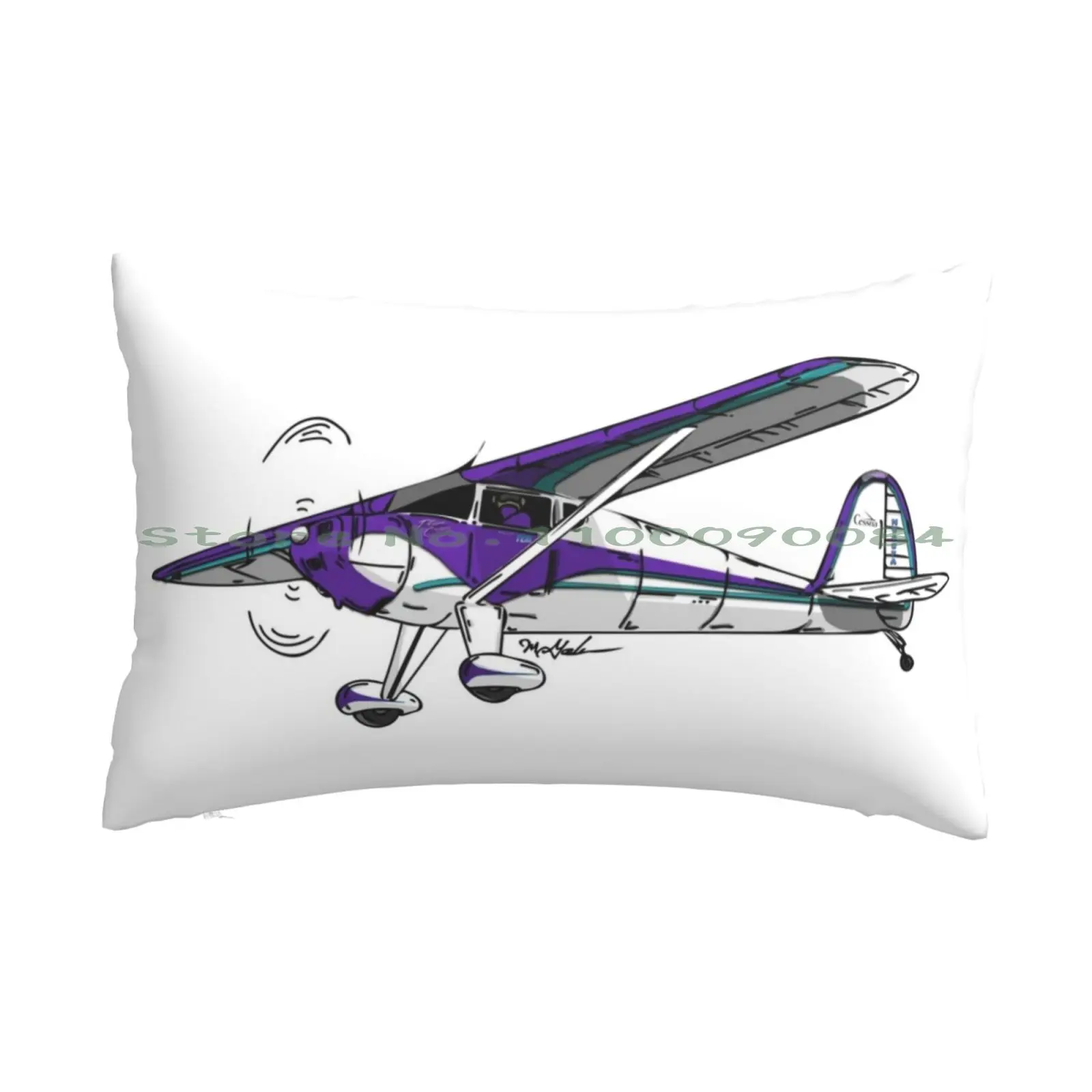 Cessna 140 N9607A Federa 20X30 50*75 Divano Camera Da Letto Cessna Bush Plane Stol Alaska Tundra Pneumatici Sand Bar Landing Aviation